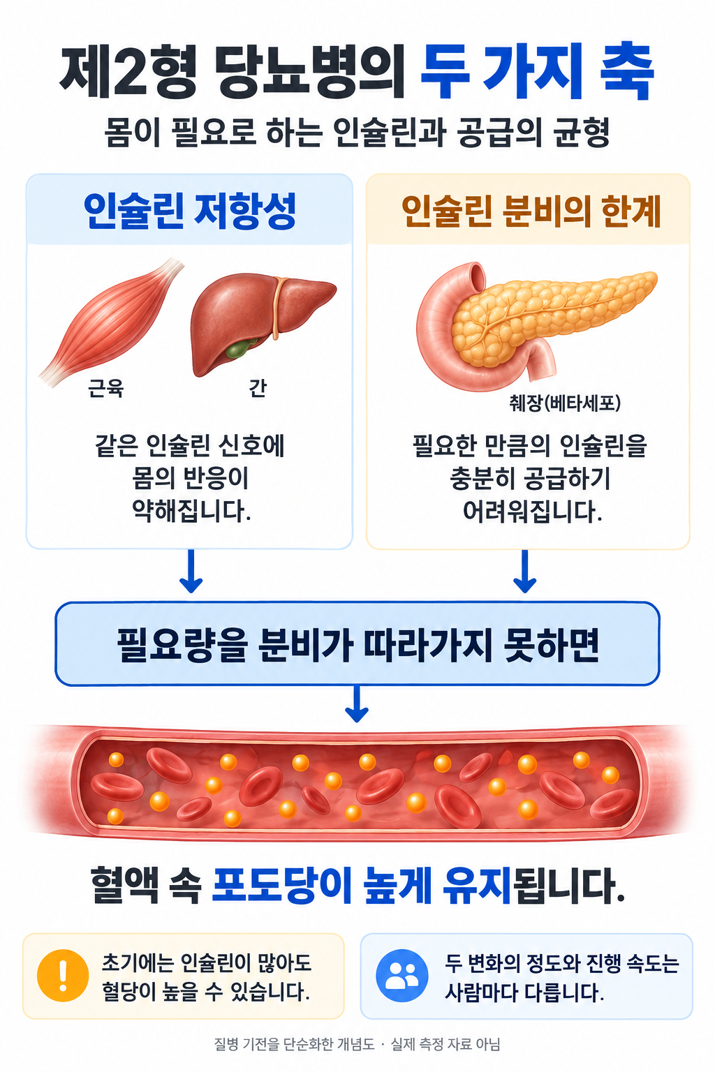 제2형 당뇨병에서는 인슐린에 대한 몸의 반응과 필요한 인슐린을 공급하는 능력의 불균형으로 혈당이 높게 유지될 수 있습니다.