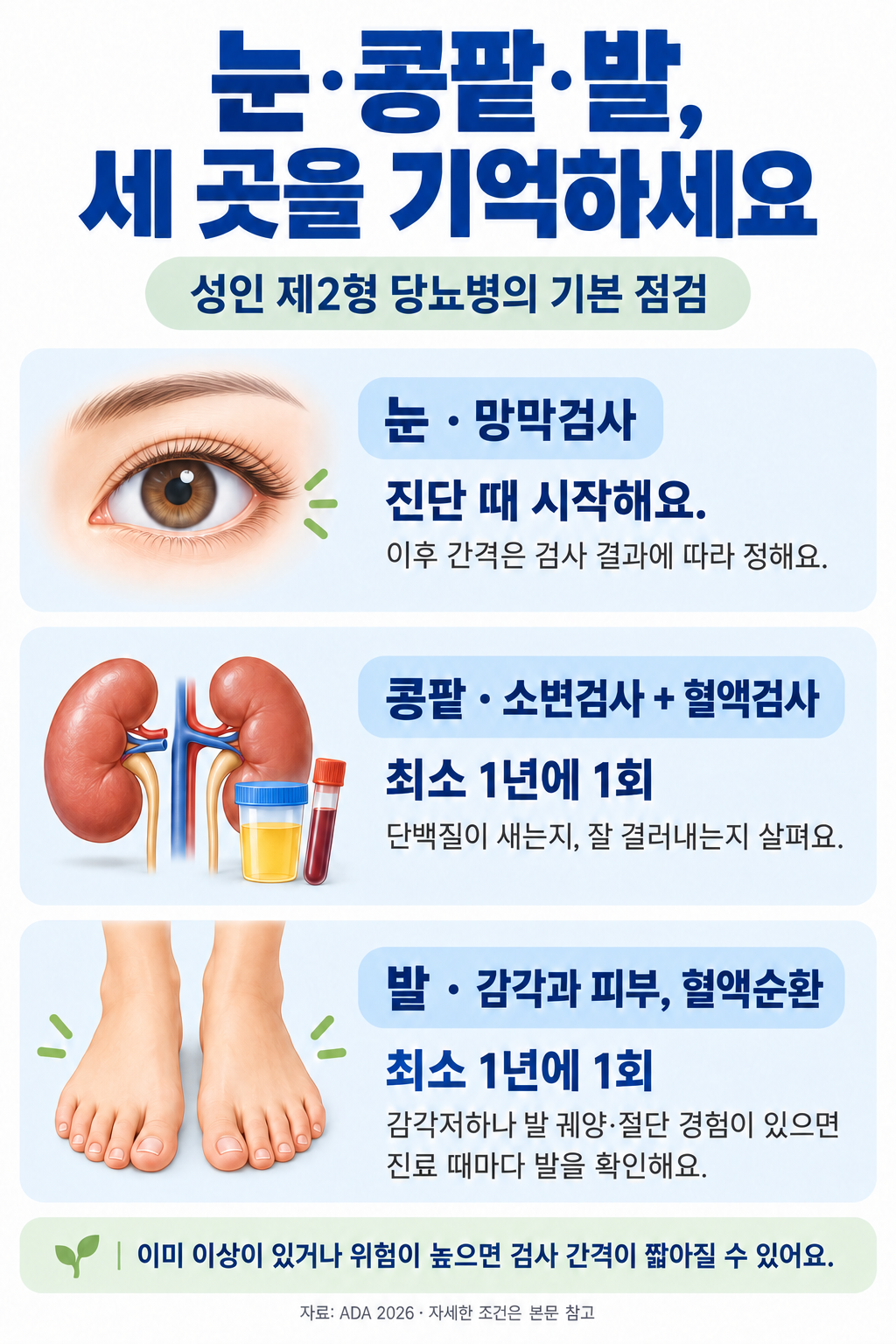 성인 제2형 당뇨병에서는 눈·콩팥·발을 정기적으로 확인합니다. 망막검사는 진단 때 시작하고, 콩팥검사와 종합 발검사는 최소 연 1회가 기본입니다.